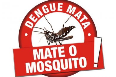 Novos focos do mosquito da dengue são encontrados em General Carneiro