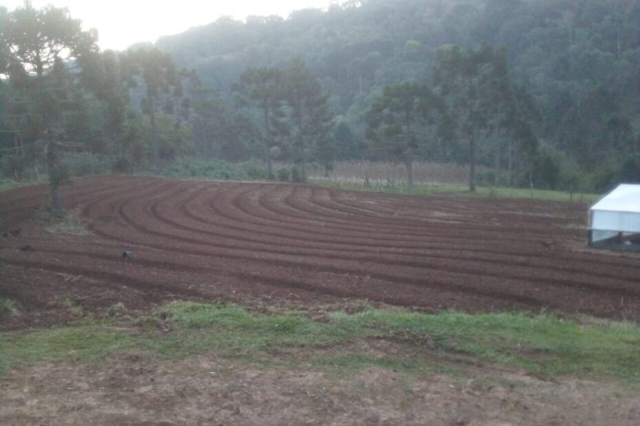 Boletim da Agricultura: confira os trabalhos realizados no mês de agosto.